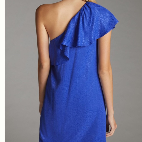 Stunning Royal Blue Animal Print Fancied Frock - Picture 4 of 14